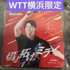 卓球WTT横浜チャンピオンズ会場限定ニッタクアクリルキーホルダー田添健汰テナジー