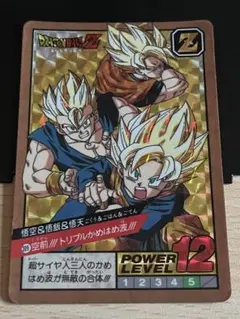 ドラゴンボール カードダス　スーパーバトル カード 悟空&悟飯&悟天　309