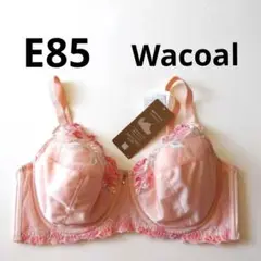 Item thumbnail for item 0ac47bcb-4904-45c1-a9c1-4951d02fc491