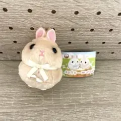 うさだまちゃん ぬいぐるみ もふちゃ アミュポン ガチャガチャ マスコット
