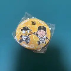 ジャイアンツ 翁田大勢