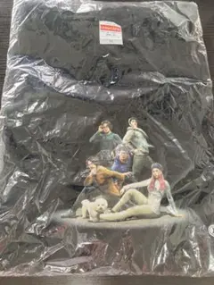 ふっくらすずめクラブ　Tシャツ XL パーフェクトTシャツ オモコロ