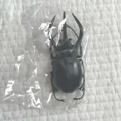クワガタ　おもちゃ