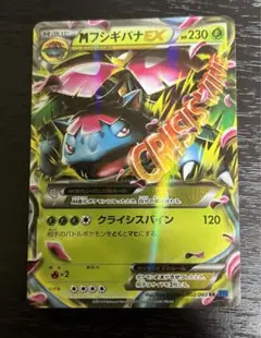 MフシギバナEX RR XY1 コレクションX 002/060