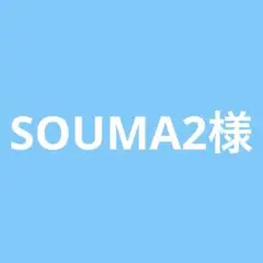 スーパーマリオ3dワールド+フューリーワールド