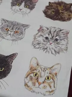 Orie kawamura ＊Cat Face＊生地幅×７０cm＊＊✨生産停止