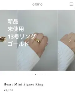 【新品】ebine/金属アレルギー対応/ゴールド/13号リング/ハート