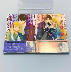 旦那様は、離婚しませんか？全4巻セット