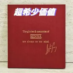新品 未使用‼️ 超希少価値　アイルトン・セナ記念　Photo Book