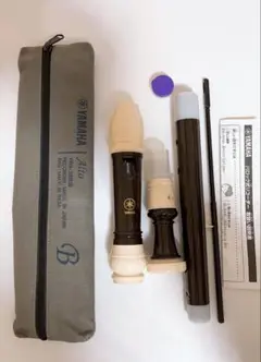 Item thumbnail for item 2d8fa3f3-715e-41bd-afda-05d144dad70d