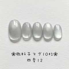 【即購入ok】マグネットネイルチップ　ショートオーバル　ニュアンス　四季12