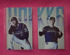 日本ハムファイターズ さち＆とら ステッカー