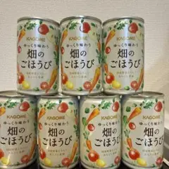 畑のごほうび 2箱 60缶 カゴメ 野菜ジュース メール便送料無料対応可】 カゴメ ミックス （野菜・果実 畑のご