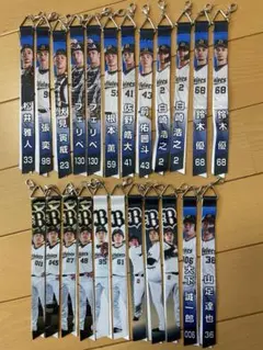 オリックス ボンフィン 23本 セット
