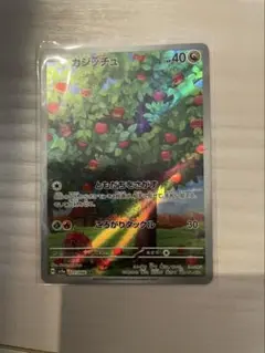 カジッチュ　AR
