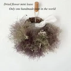 【SALE】スモークツリーのハーフリース* *ラッピング無料 プレゼント 初夏
