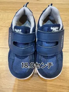 Item thumbnail for item a272bdf1-4092-4199-bf97-4760cf0cab88