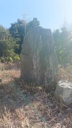 庭石