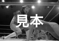 女子プロレス　ミミ萩原写真