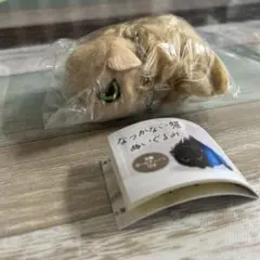 なつかない猫　ぬいぐるみ(公園の猫) ガチャ