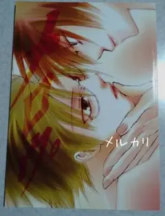 同人誌 不二塚&不二菊 5冊セット