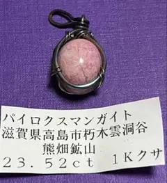 Item thumbnail for item e2013e08-1532-4836-a139-9c0863765b2a