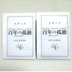 こちらは即日発送　読み解き支援キット　百年の孤独 　2冊