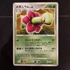 ポケモンカード　メガニウム　DP2