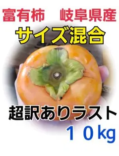 376 富有柿 超訳あり