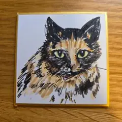 イラスト　専用