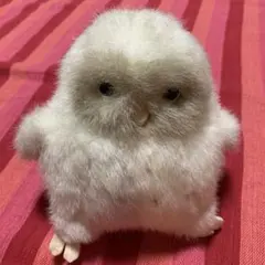 2025年最新】やまね工房 フクロウの人気アイテム - メルカリ