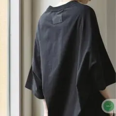 美品☆コグザビッグスモーク DELTA T-SHIRT