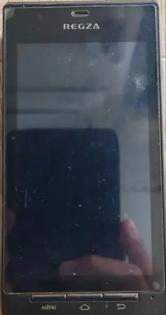 REGZA Phone T-01C モイストブラック