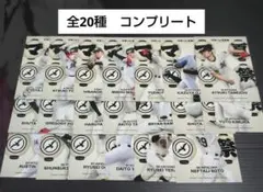 千葉ロッテマリーンズ　リアルトレカ　夏祭り　全20種 コンプリート