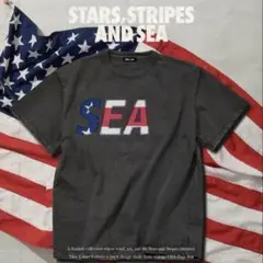 本日のみ　WINDANDSEA SIGNATURE USA SEA S