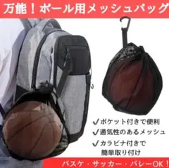新品未使用　ボールバッグ ネット ボール入れ 持ち運び サッカー バスケ