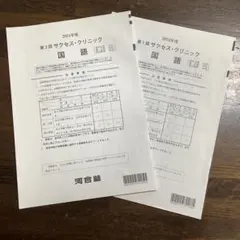 2025年最新】河合塾 サクセスクリニック 第2回の人気アイテム