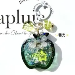 レジンシャカシャカキーホルダー　林檎　花火　グラデーション　蓄光　シェイカー