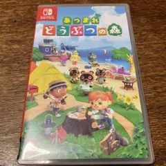 り*ち様 あつまれ どうぶつの森 Nintendo Switch