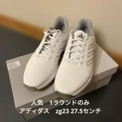 中古】adidas ゴルフシューズ GolfLite 5Z 白 - メルカリ