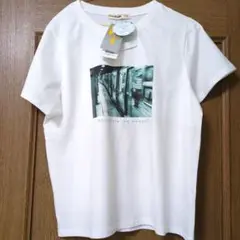 レディース　TシャツM 　２枚セット