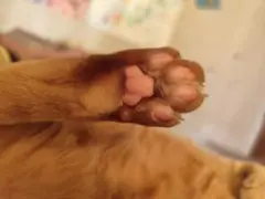 6点まとめ　専用