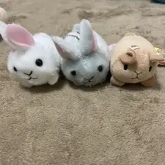 Item thumbnail for item 33a22100-c49b-4eb5-b8ea-879b900d8efd