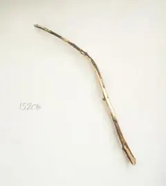 Item thumbnail for item 2269094e-7459-4cc7-9ddf-5c7a9fcaf193