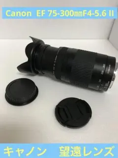 Item thumbnail for item fad7e040-1d75-47af-b105-ab803d64fb82