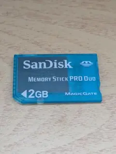 送料無料 SanDisk 2GB メモリースティック