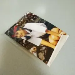 南野陽子写真