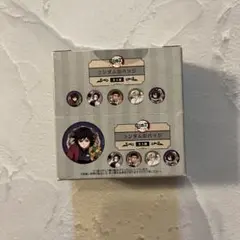鬼滅の刃 柱展 ワールドツアー ランダム缶バッジ 未開封