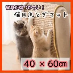 Item thumbnail for item f4b7e2a8-c76e-4ec5-a527-e4b00bdec870