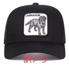 訳アリ！新品 ラブラドール 黒ラブ 犬 刺繍 メッシュ キャップ 野球帽 帽子